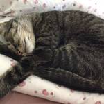 Kirsten Winkler Profile Picture