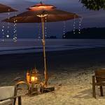 Diana Jensen Profile Picture