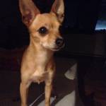 Lisa Langschwager Profile Picture