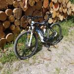 Karlo Jensen Profile Picture