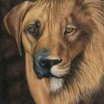 Marine Brunius Profile Picture