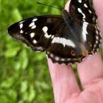 Karina Juul Mathiesen Profile Picture