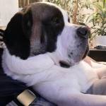 May Bosetti Profile Picture
