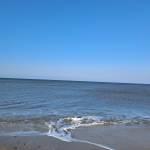 Pia Gjervig Lützen Profile Picture