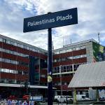 Kim Young Min Stigsen Profile Picture