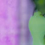 authur authur Profile Picture