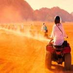 Morning desert Safari Profile Picture