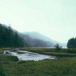 Hilda Jones Profile Picture