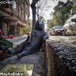 Annetta Emmerich Profile Picture