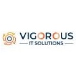 Vigorous IT Solutions Profile Picture