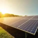 wise market Profile Picture