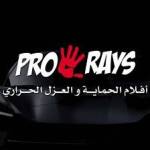 Pro Rays Profile Picture
