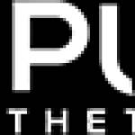 my pure aesthetics Profile Picture