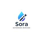 Sora Watermarks Profile Picture