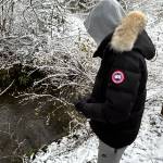 veste paragoose Profile Picture