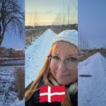 Lonnie Strøm Dyrkov profile picture