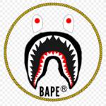 Bape Hoodie Profile Picture