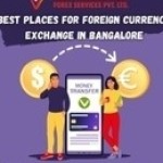 vaayuinternational forex Profile Picture