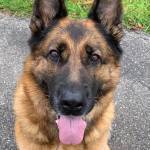 Poul Frederiksen Profile Picture