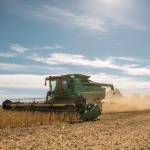 Broad Grain Profile Picture