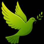 Mind Wellness NP Profile Picture