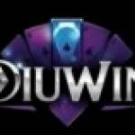 Diuwin Game Profile Picture